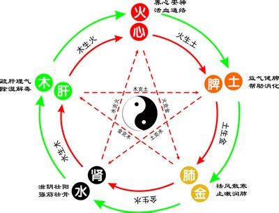 桐五行|桐的五行属什么,桐字的五行属性,桐的寓意